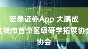 宏泰证劵App 大鹏成立我市首个区级研学拓展协会